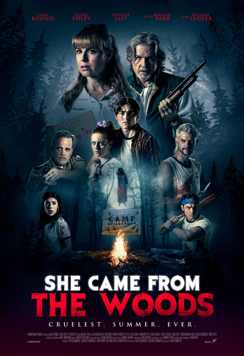 Плакат «Она пришла из леса»