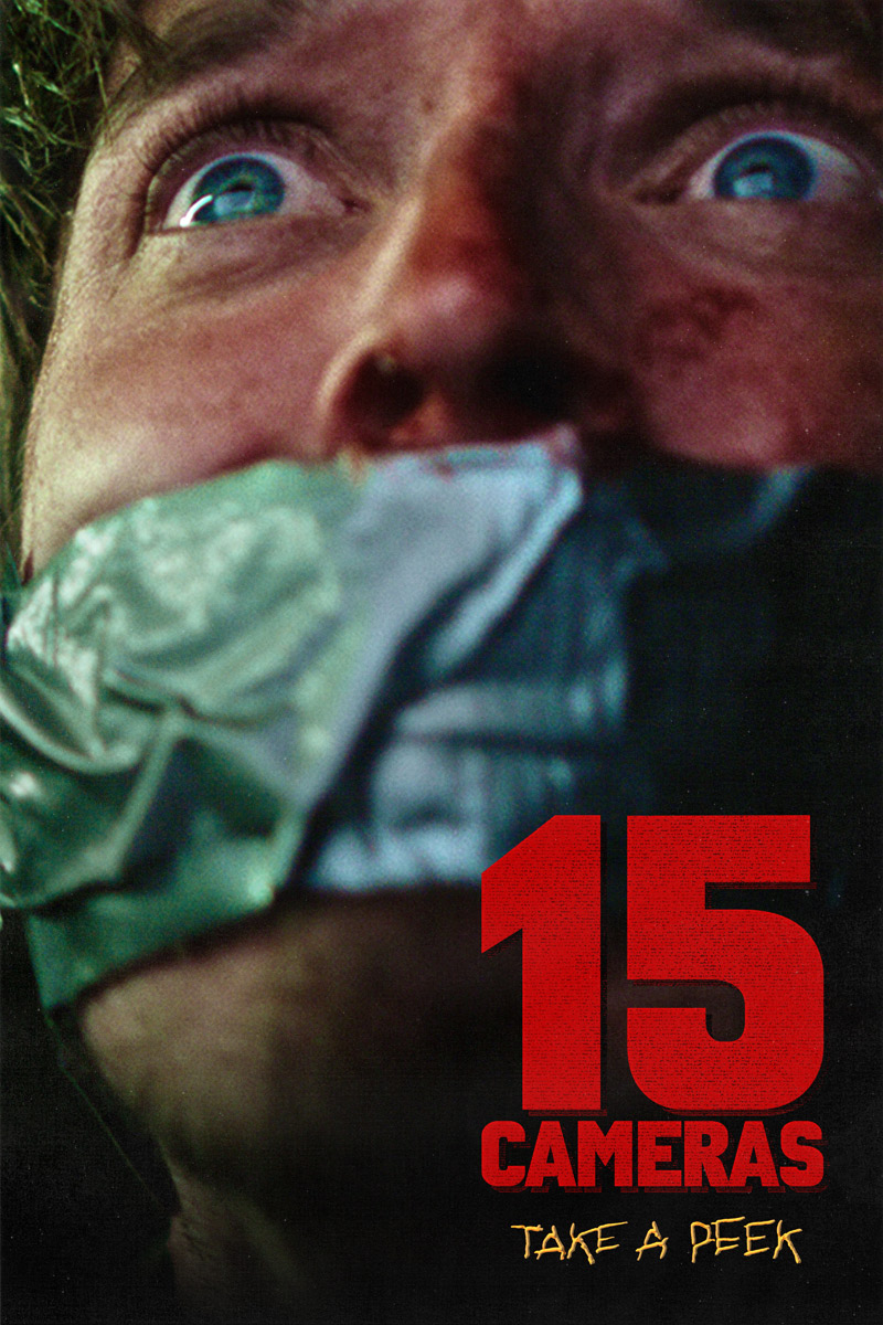 Плакат «15 камер»