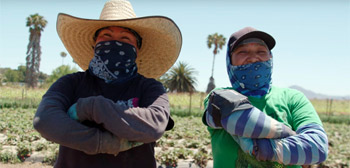 Трейлер документа Common Ground