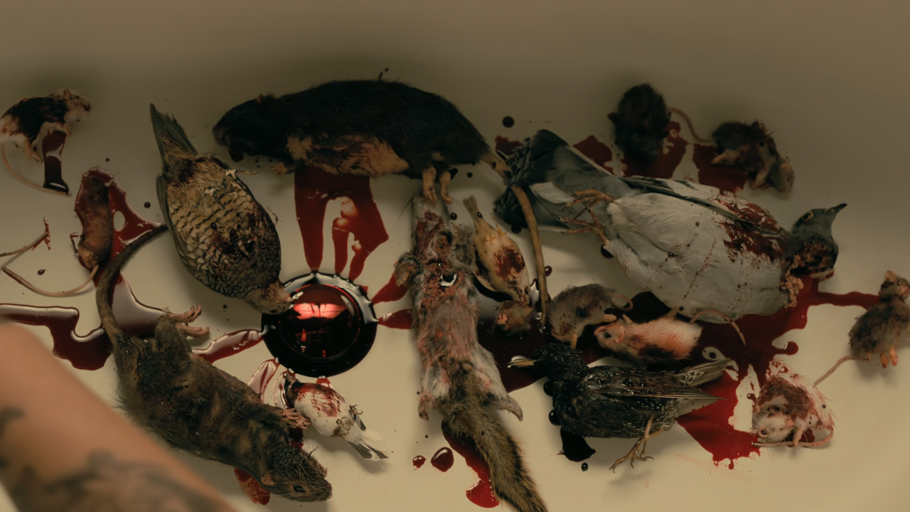 Badewanne voller toter Tiere in „Der Untergang des Hauses Usher“.