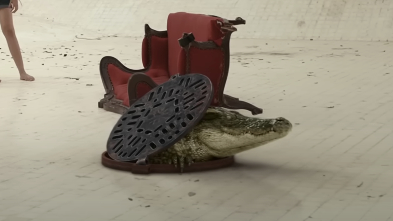 Das Krokodil aus The Pool