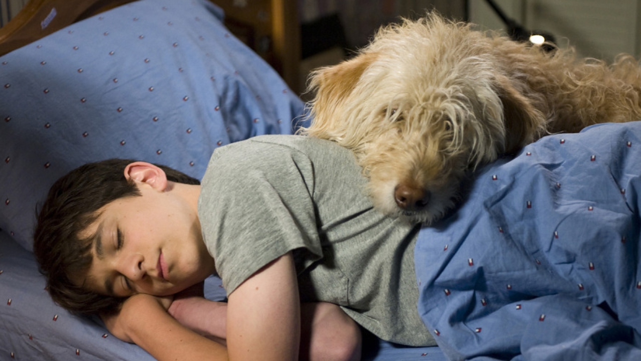 Zachary Gordon in Diary Of A Wimpy Kid: Dog Days
