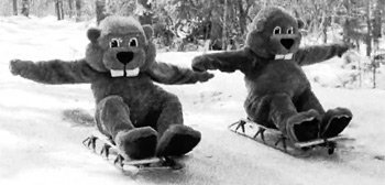 Трейлер «Сотни бобров»