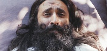 Der fröhliche Kurzfilm