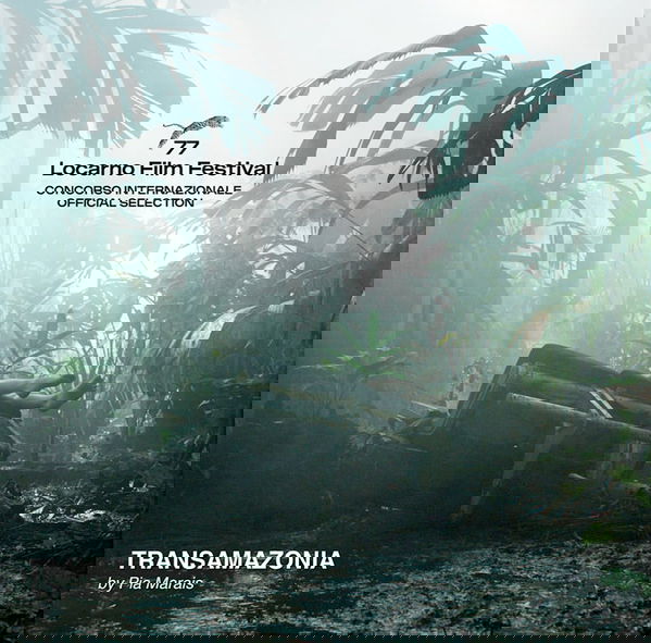 Affiche de Transamazonie