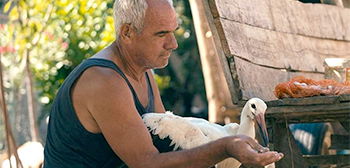 Сказка о силианском обзоре