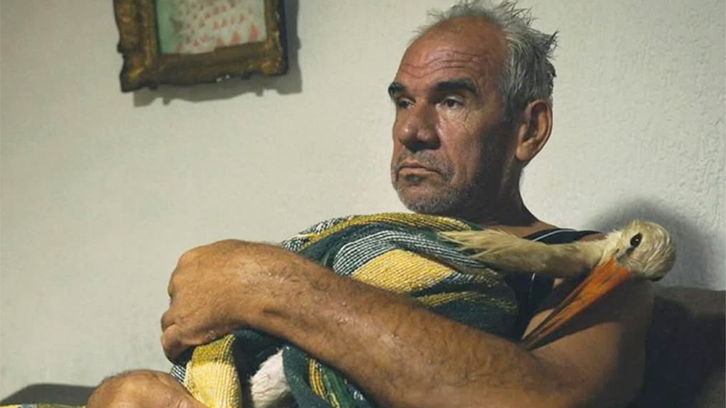 Сказка о Силяне - Тамара Котевска Венеция - рассказ о Силяне