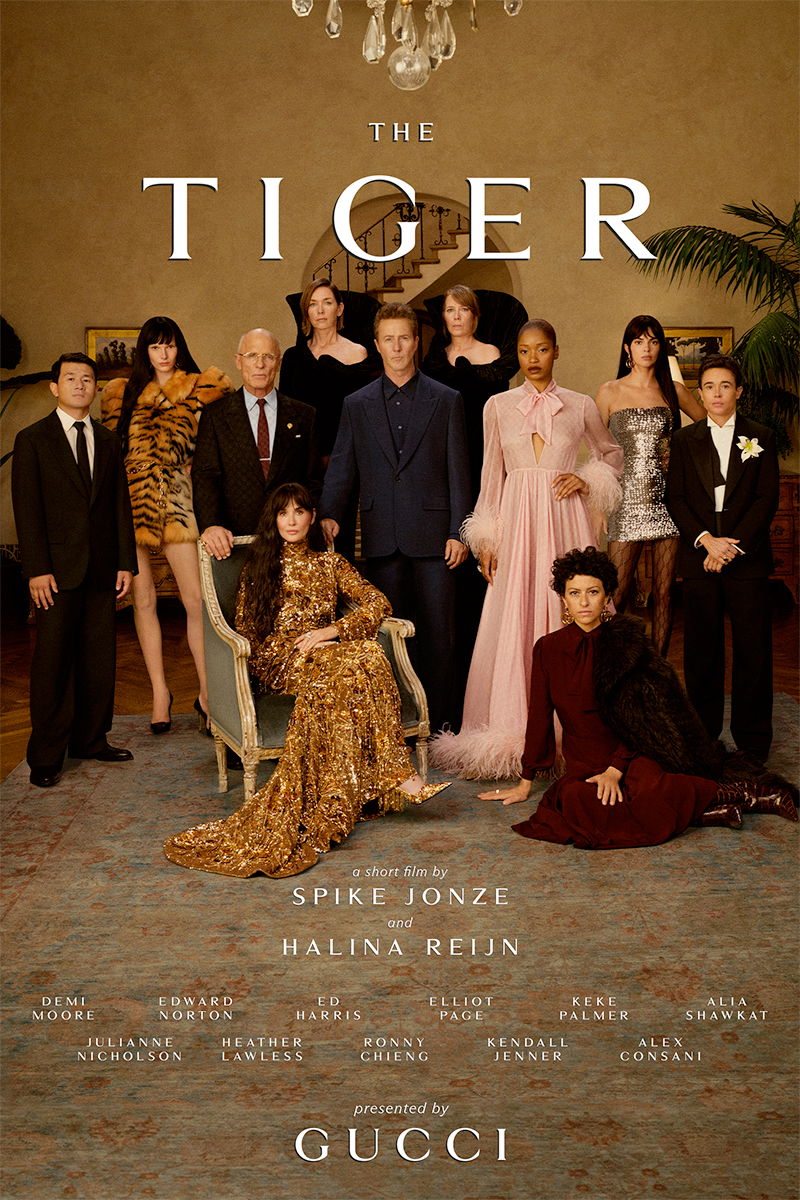 Шорт -фильм тигра