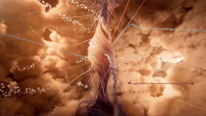 Короткометражный фильм «Восьмой день»