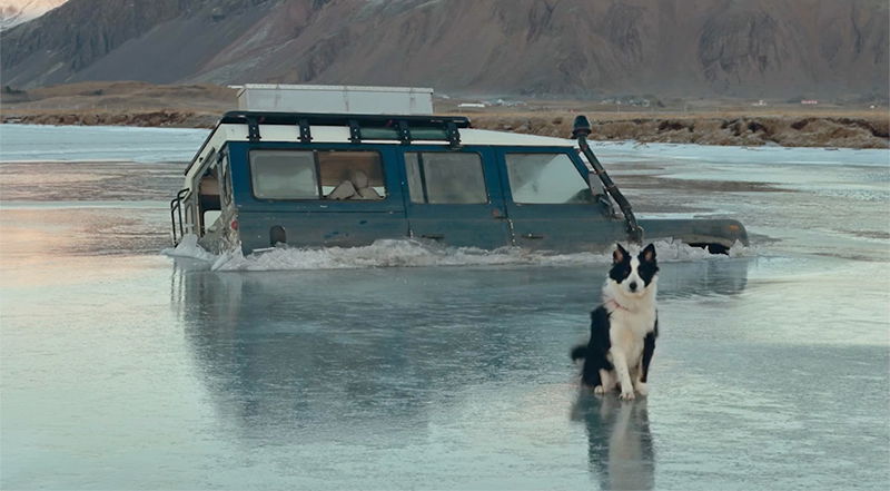 Просыпайся, мертвец Просыпайся, мертвец