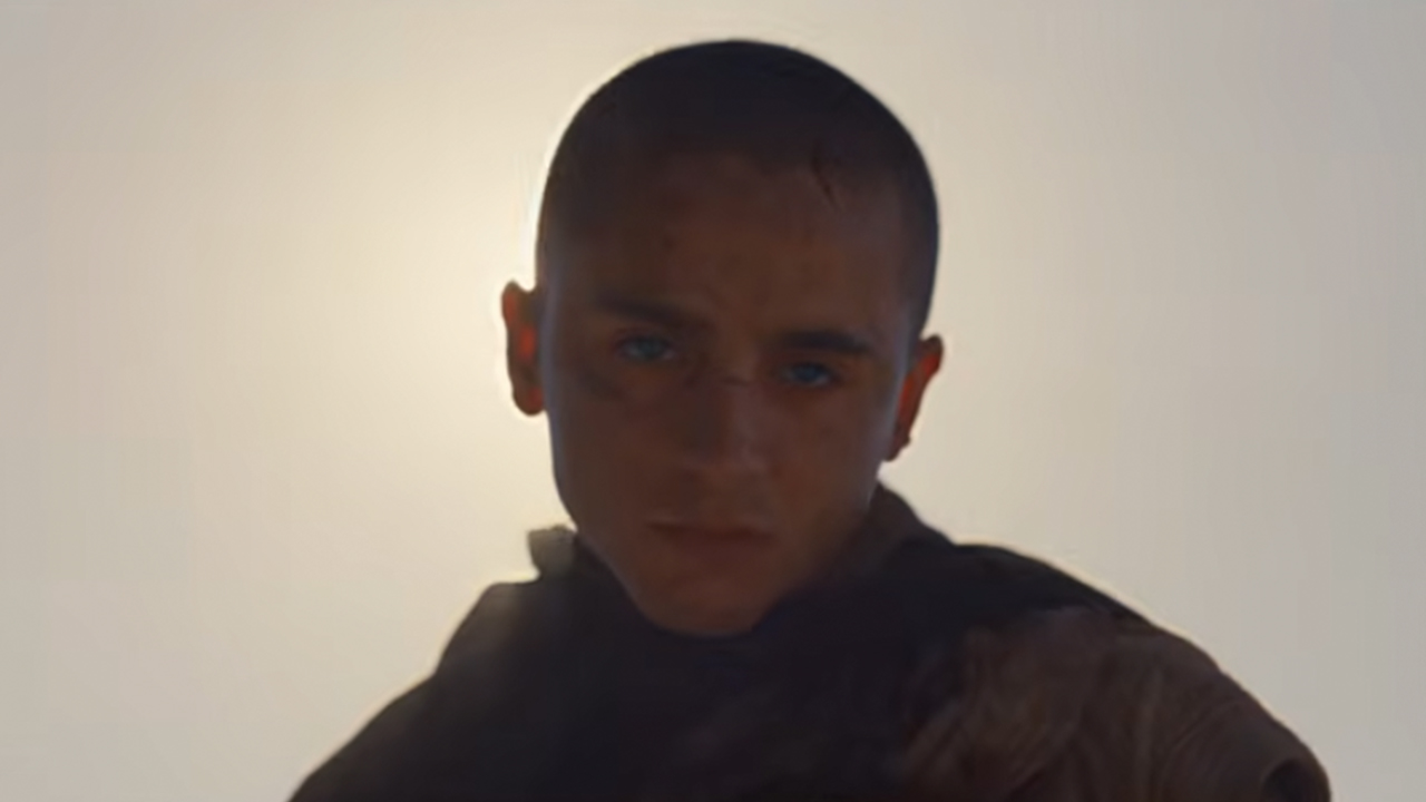 Un Timothée Chalamet chauve regardant tristement avec le soleil derrière lui dans Dune.