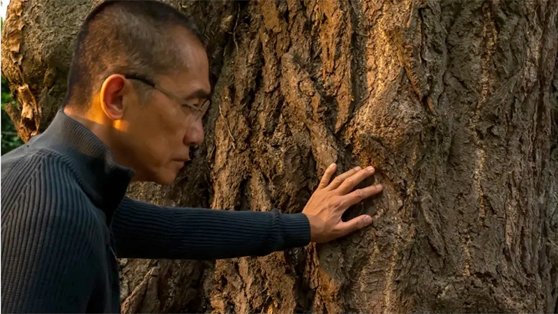 Stiller Freund - Ildikó Enyedi Venedig – Stiller Freund