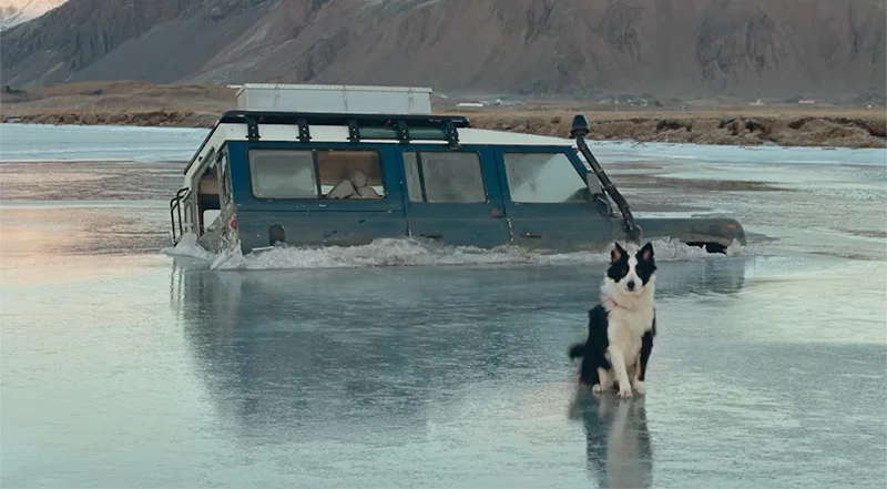 Die Liebe, die bleibt