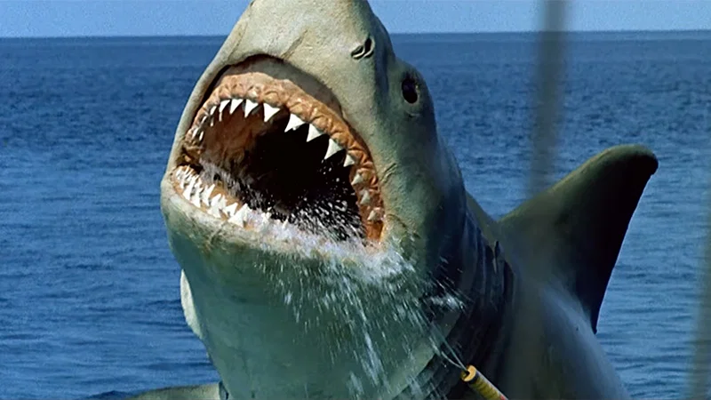 Trailer zum Dokumentarfilm „Der Hai, der brüllte“.