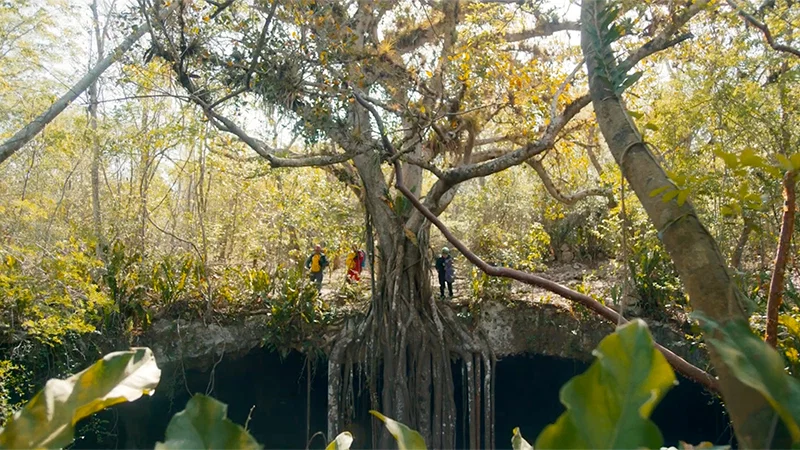 Bande-annonce souterraine