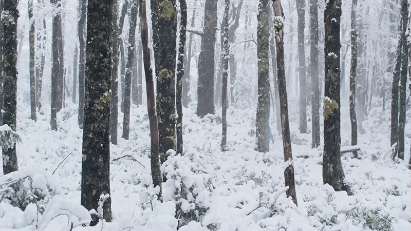 Тизер «Краха»