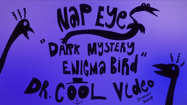 Vidéo musicale de Dark Mystery Enigma Bird