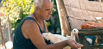 Die Geschichte von Silyan Rezension