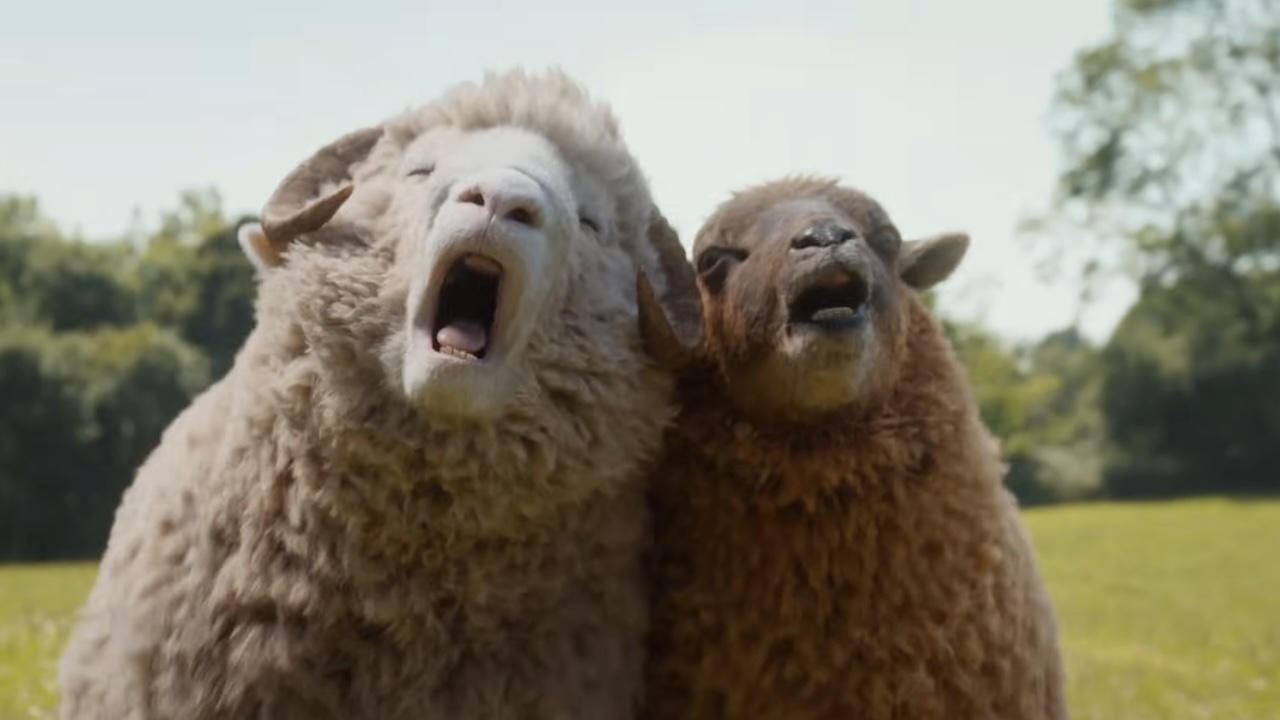 Deux moutons crient alors qu'ils courent dans The Sheep Detectives