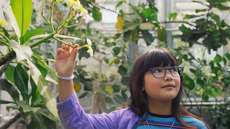Bande annonce du film Mabel