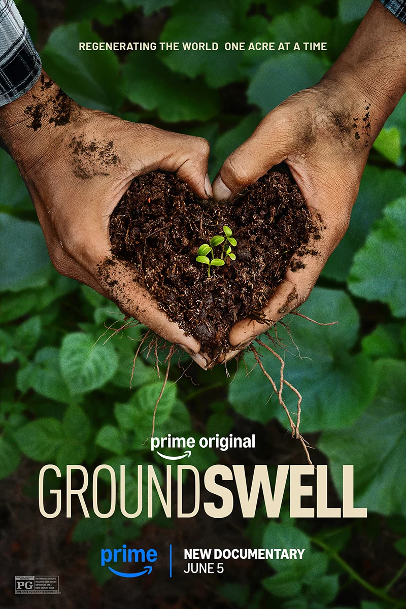 Плакат с документом Groundswell