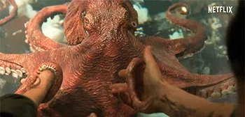 Trailer zu Remarkably Bright Creatures